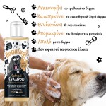 Oatmeal Dog Shampoo with Coconut & Lime Fragrance 250ml