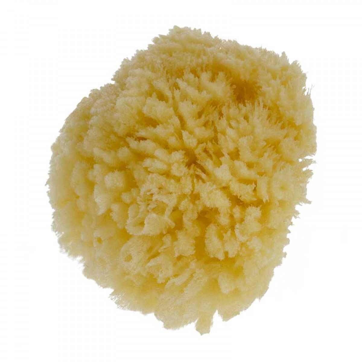 PARSA Baby Natural Sea Sponge Mini