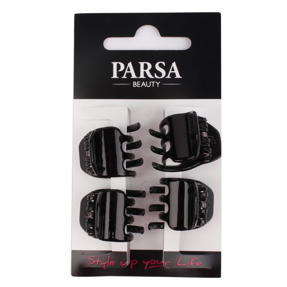 PARSA HAIR CLIP BLACK 4pcs